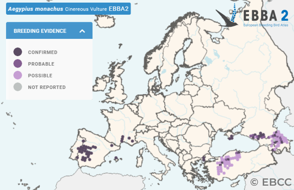 Mapa de Distribuição Europeia