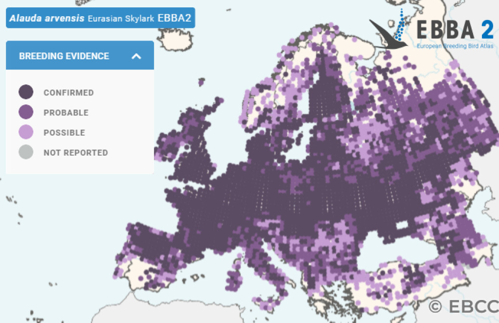 Mapa de Distribuição Europeia