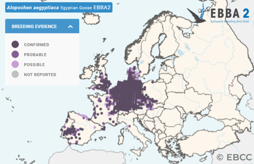 Mapa de Distribuição Europeia