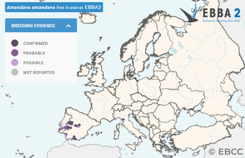 Mapa de Distribuição Europeia