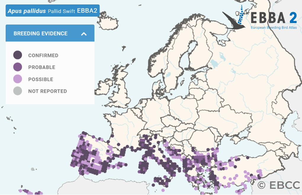 Mapa de Distribuição Europeia