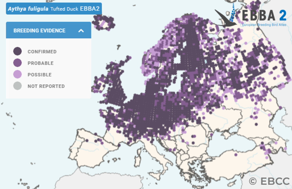 Mapa de Distribuição Europeia