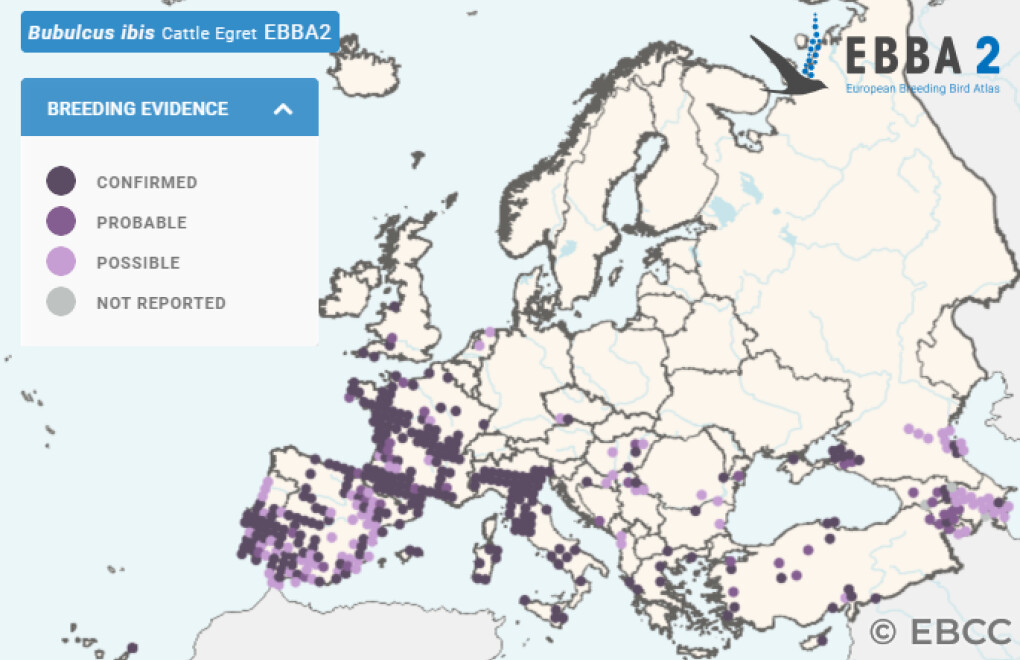 Mapa de Distribuição Europeia