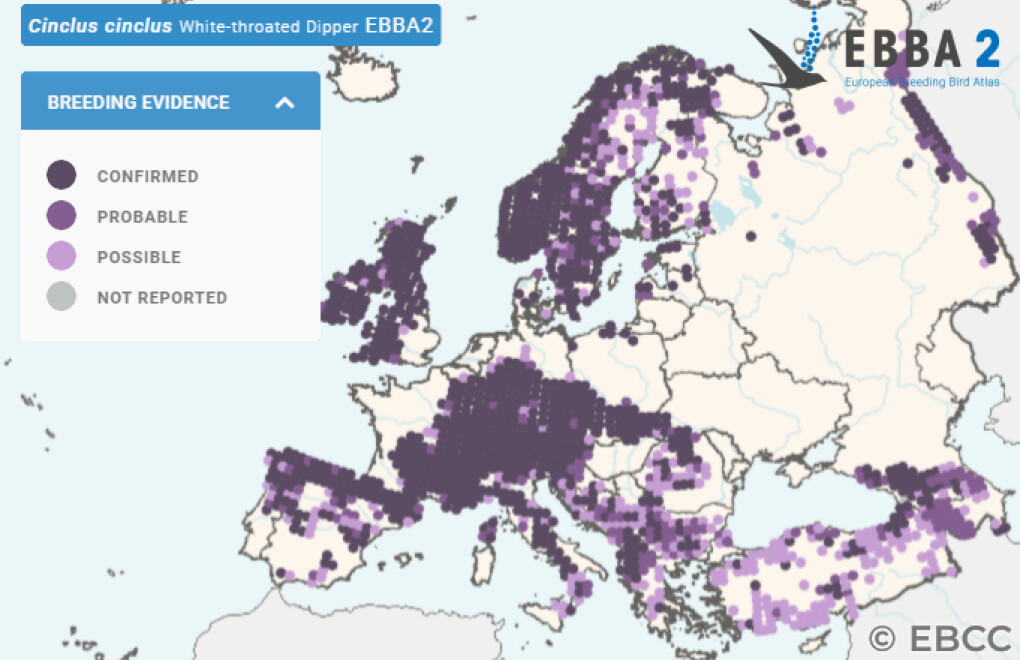 Mapa de Distribuição Europeia