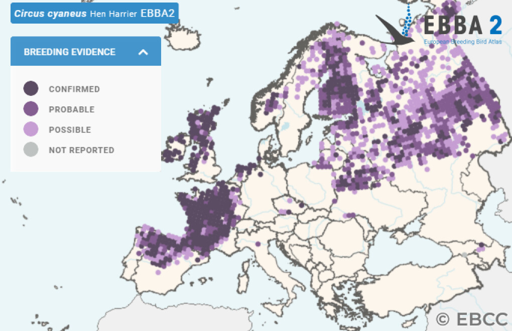 Mapa de Distribuição Europeia