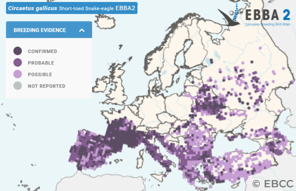 Mapa de Distribuição Europeia