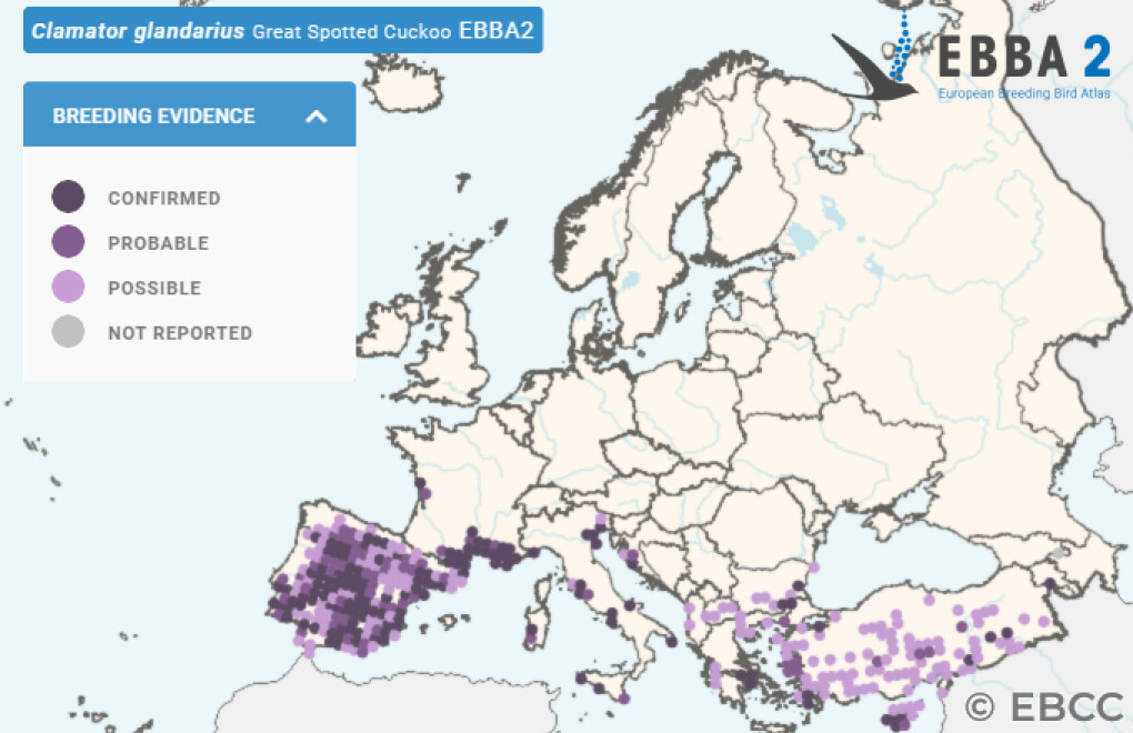 Mapa de Distribuição Europeia