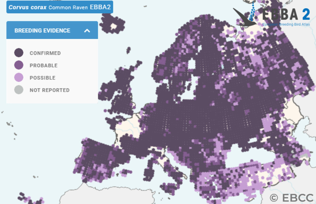Mapa de Distribuição Europeia