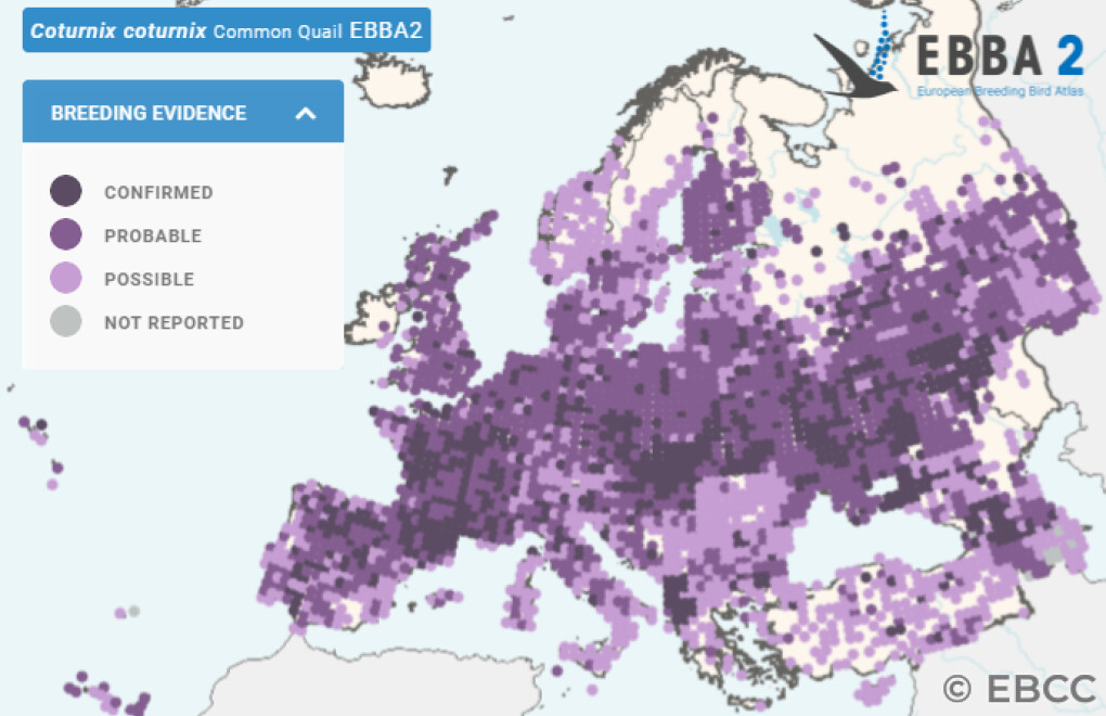 Mapa de Distribuição Europeia