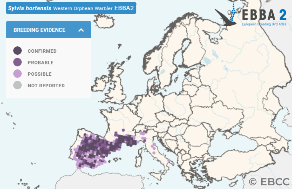 Mapa de Distribuição Europeia