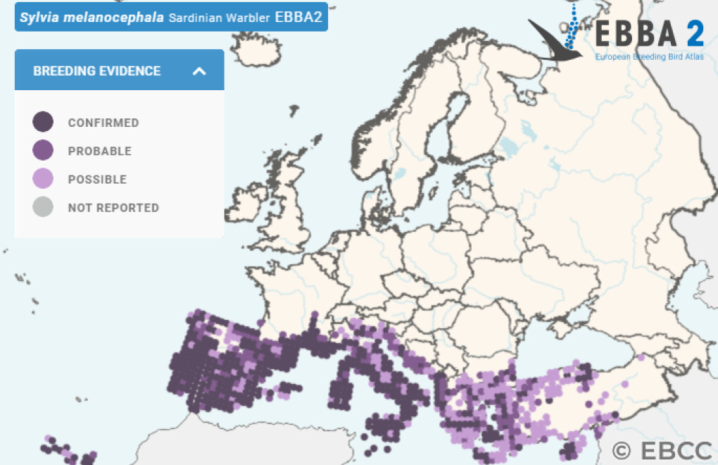 Mapa de Distribuição Europeia