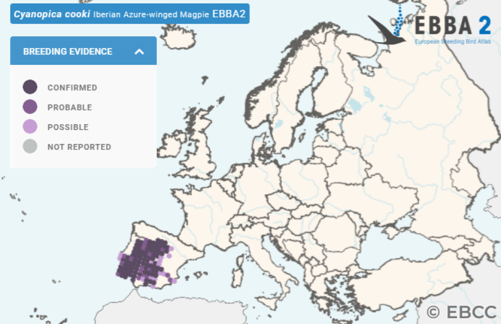 Mapa de Distribuição Europeia