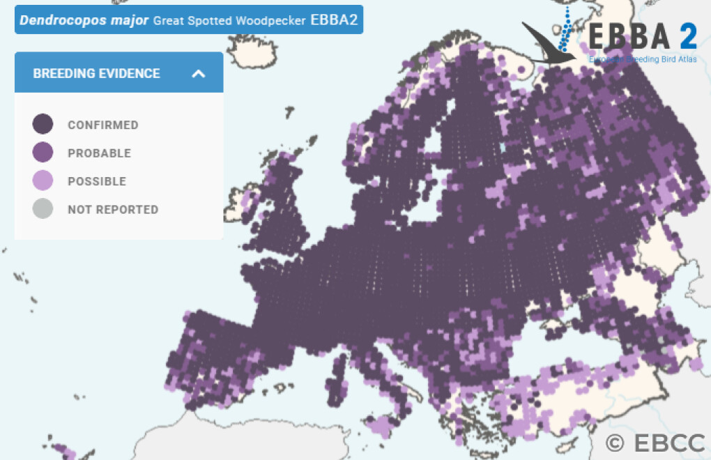 Mapa de Distribuição Europeia