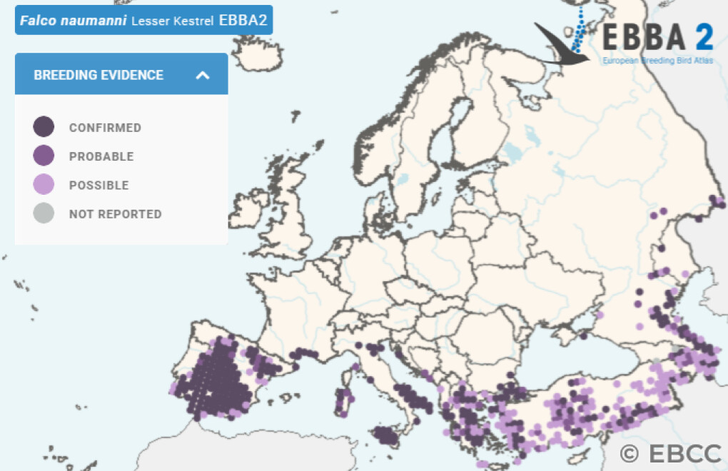 Mapa de Distribuição Europeia