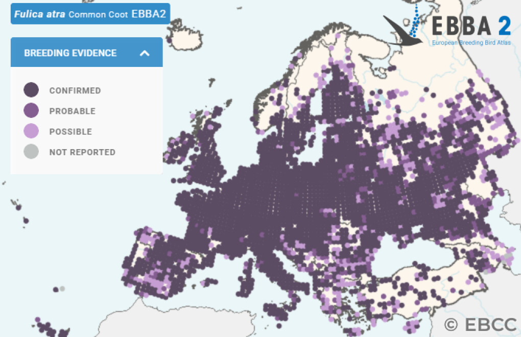 Mapa de Distribuição Europeia