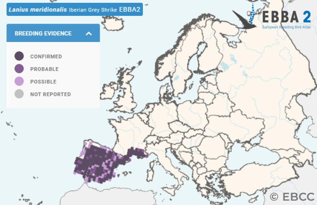 Mapa de Distribuição Europeia