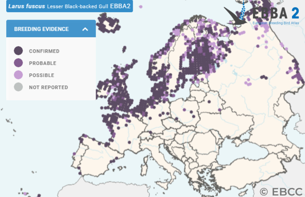 Mapa de Distribuição Europeia