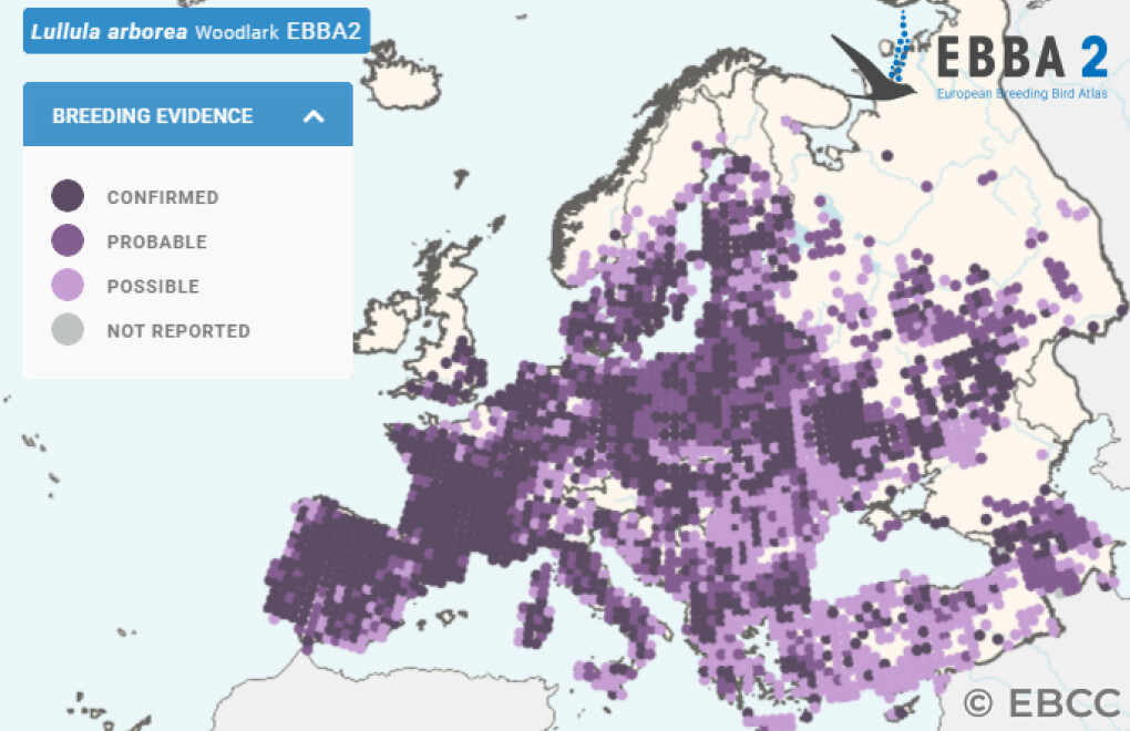 Mapa de Distribuição Europeia