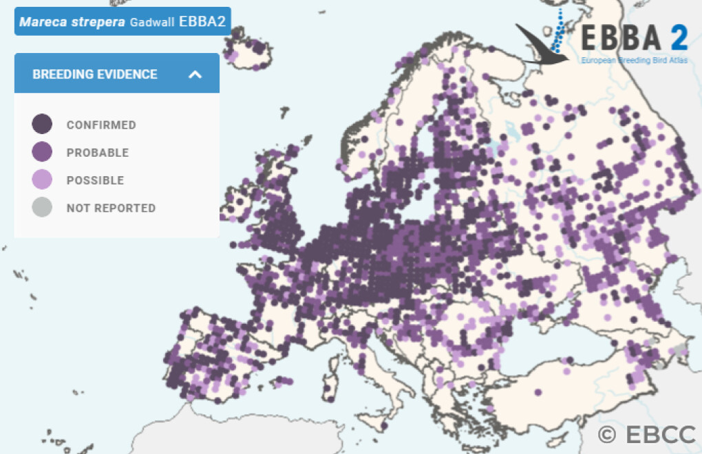 Mapa de Distribuição Europeia