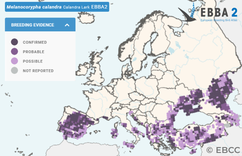 Mapa de Distribuição Europeia