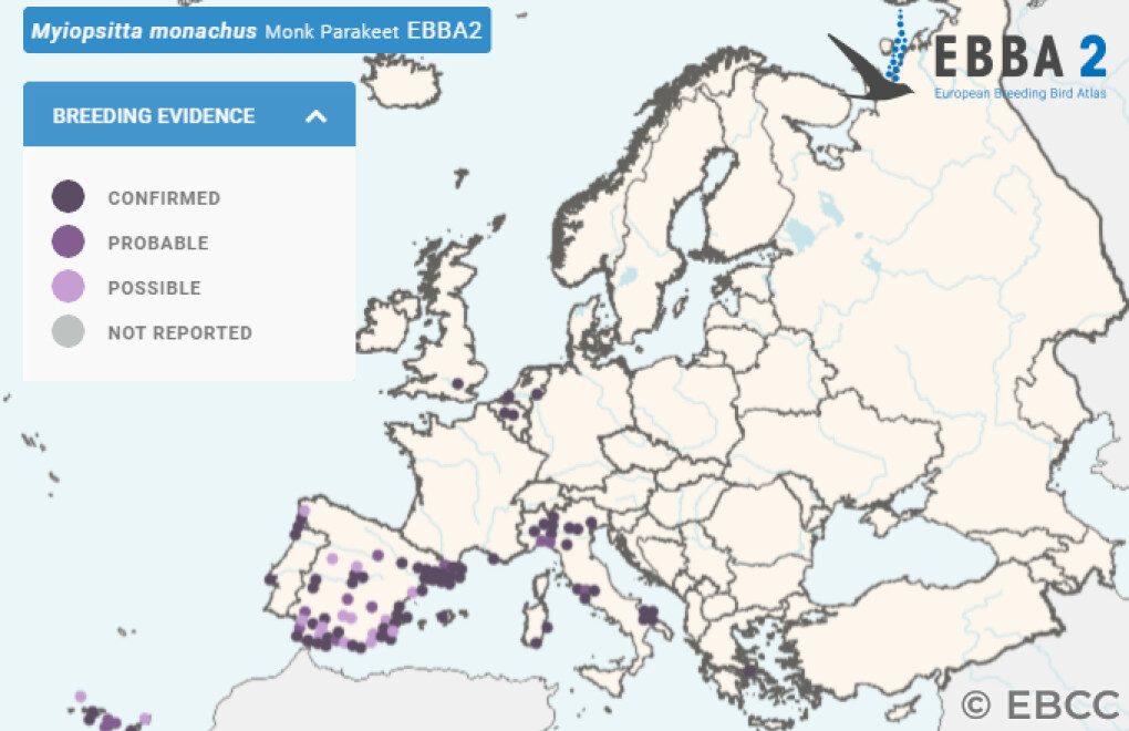 Mapa de Distribuição Europeia