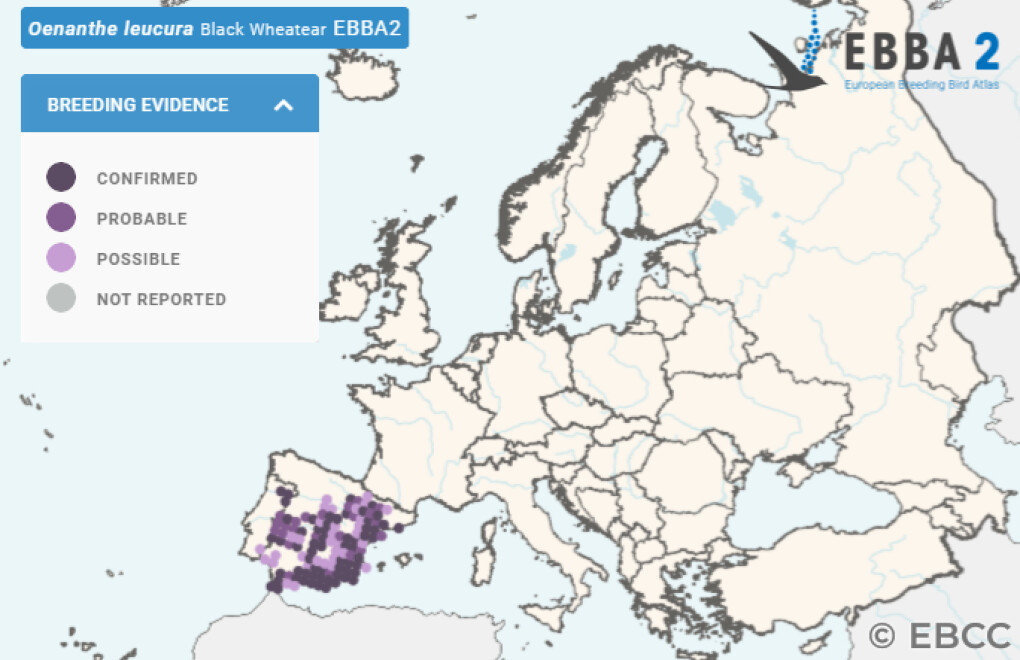 Mapa de Distribuição Europeia