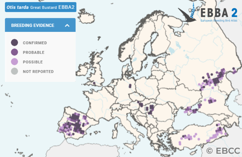 Mapa de Distribuição Europeia