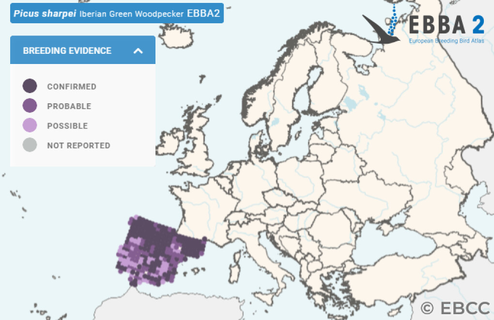 Mapa de Distribuição Europeia