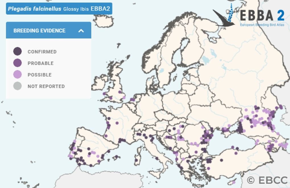 Mapa de Distribuição Europeia