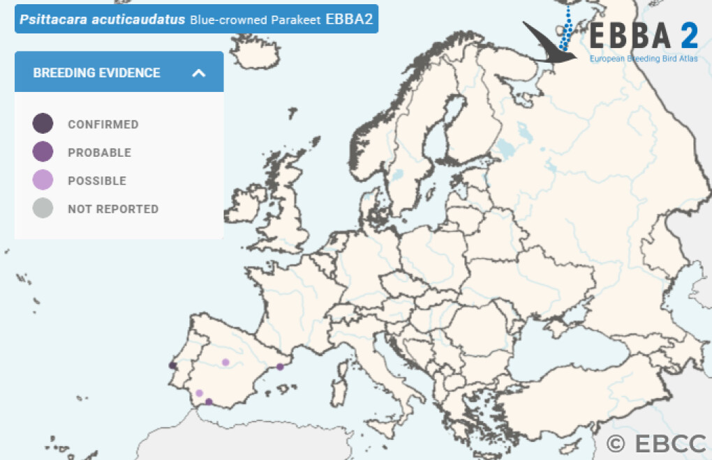 Mapa de Distribuição Europeia