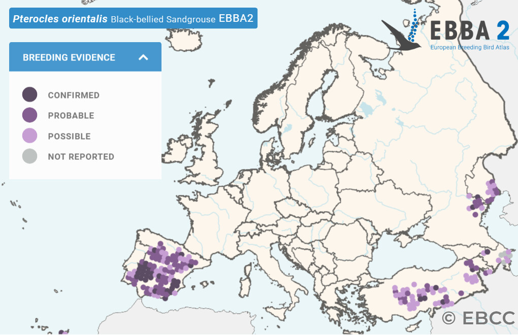 Mapa de Distribuição Europeia