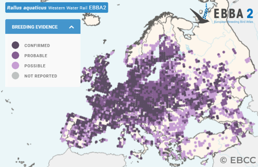 Mapa de Distribuição Europeia