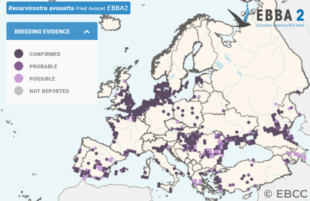 Mapa de Distribuição Europeia