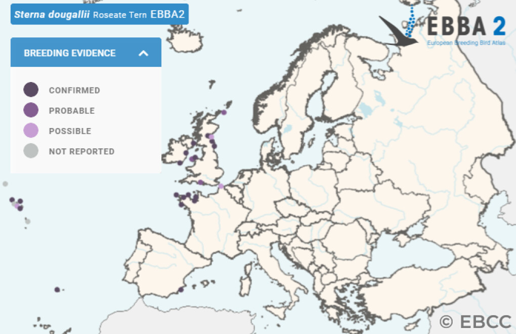 Mapa de Distribuição Europeia