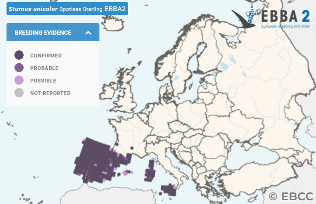 Mapa de Distribuição Europeia