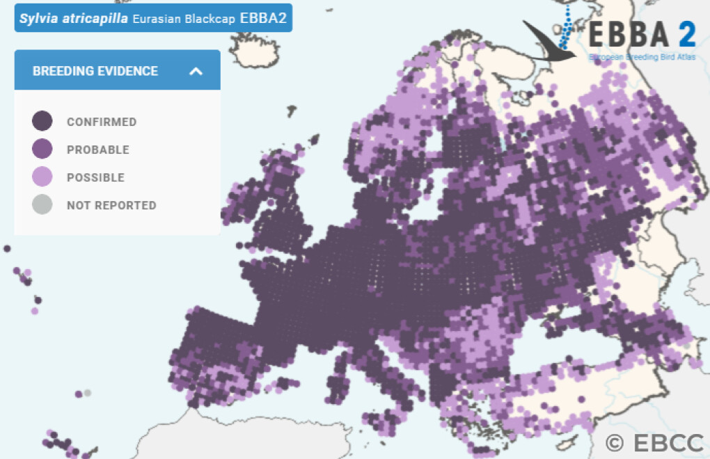 Mapa de Distribuição Europeia