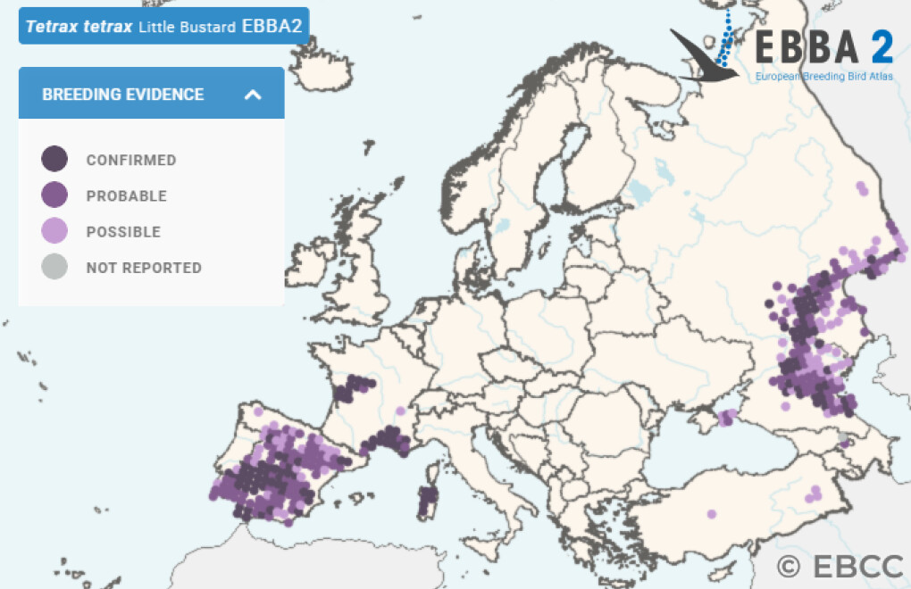 Mapa de Distribuição Europeia